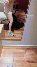 【林十七】运动鞋原味袜气味辱奴JS260525-72封面图