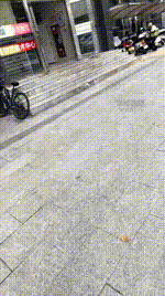 【素人饮水机】小白鞋踩踏-咬肉JS260519-8封面图