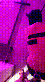 【蔷薇】圈养白领畜牲第第二天JS260601-38
