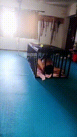【青妍】狗笼囚禁重度虐JS260603-7