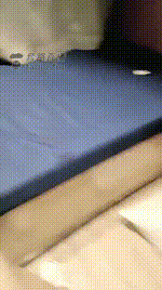 【00小主十言】开发素人大二女学妹变成母狗狗【64分钟】