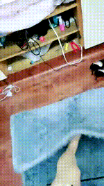 【卟萌殿下】爸妈在家偷偷揍狗！小点声【63分钟】【高清】_1