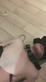 【miumiu_s】调教骚狗【35分钟】【高清】