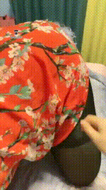 【00后馨然s】昨天的小狗狗，给他穿花衣服带出门走一走【26分钟】【高清】
