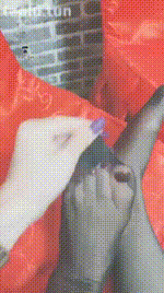 【贵阳妖妖女王】找个gou来伺候吃饭【36分钟】【高清】