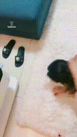 【雯主家的宝贝婳儿】新房TJ小母狗女奴【35分钟】【高清】