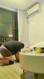 【暴力柚子】圈养胖狗的一天