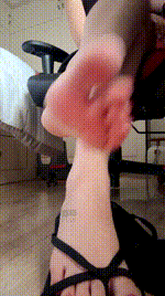 【咬猫】恋足舔狗早些